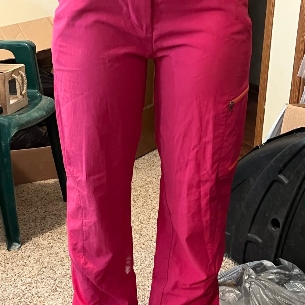 Patagonia pants